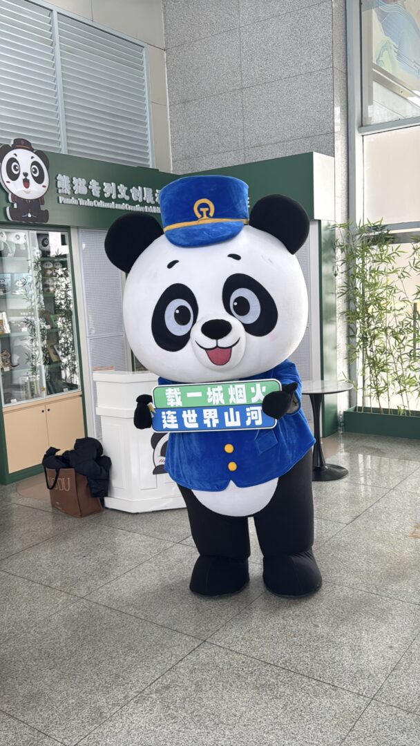 The Panda Express — China's Luxury Sleeper Train