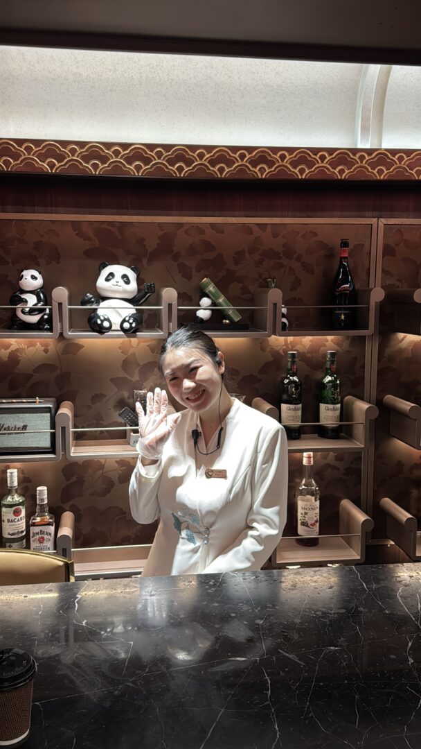 The Panda Express — China's Luxury Sleeper Train