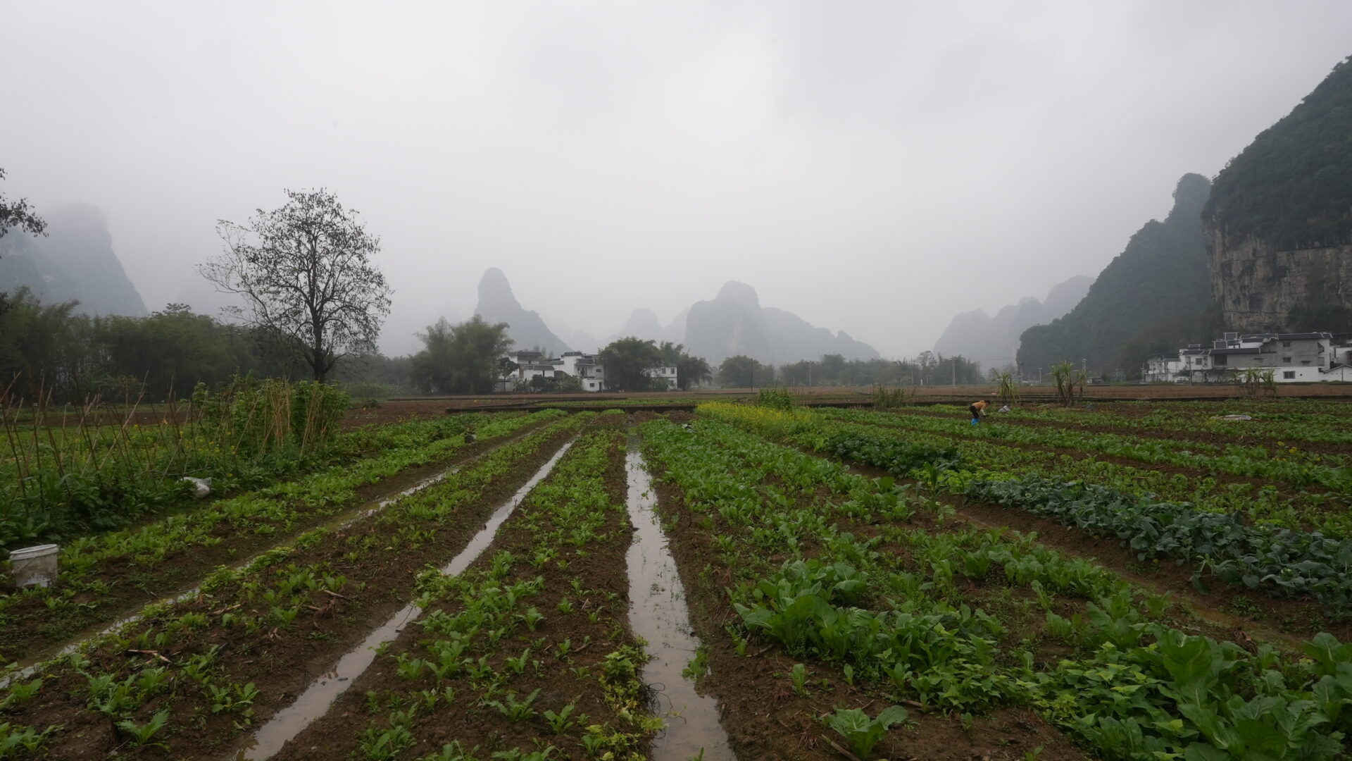Dongxing — Walking Across a Bridge into Vietnam