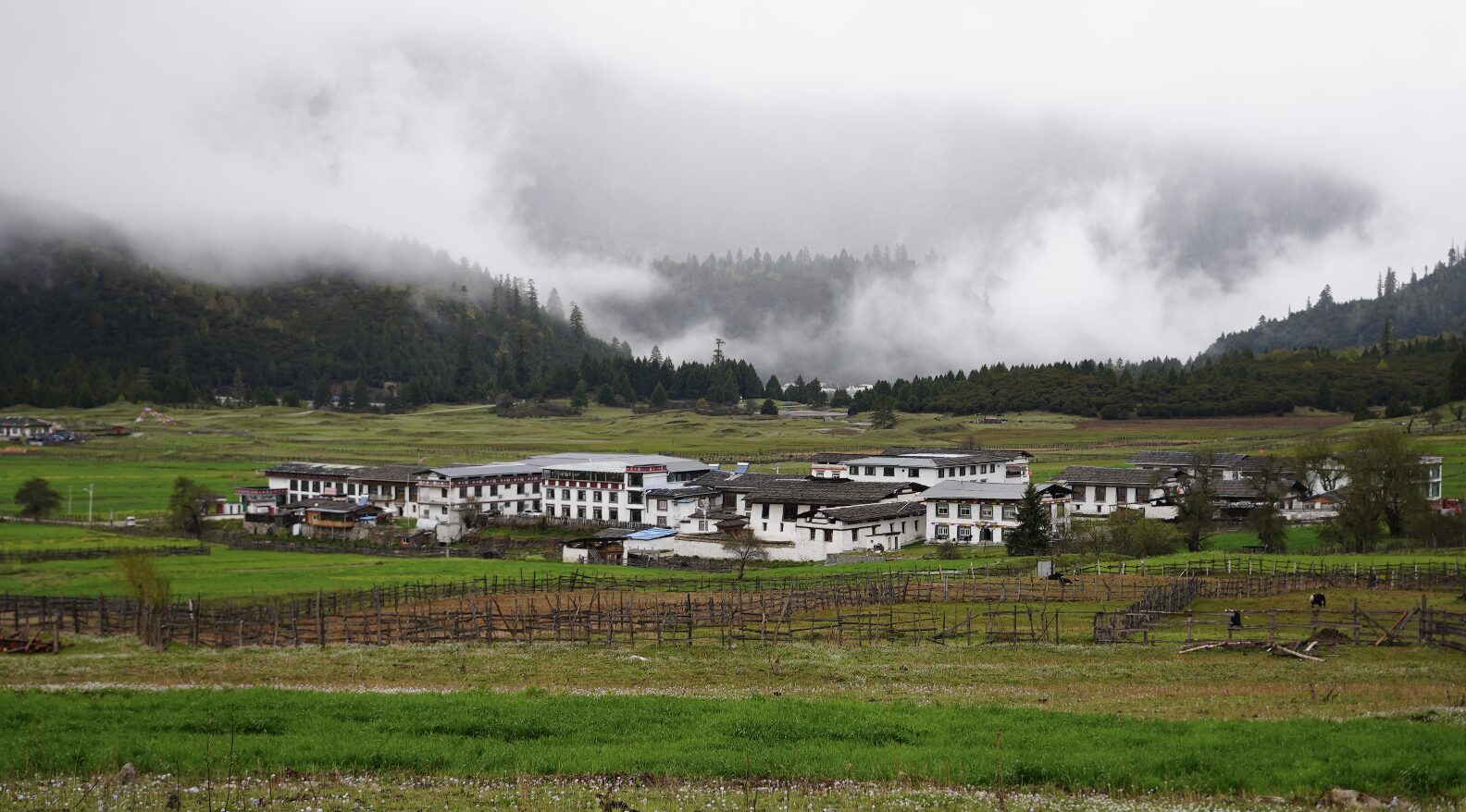 Lulang — The Alpine Meadow Tibet Isn't Supposed to Have