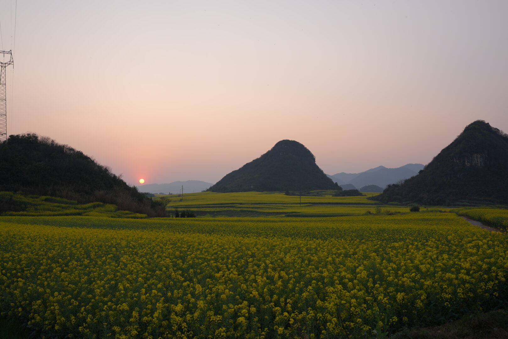 Luoping — Karst Cones in a Sea of Yellow