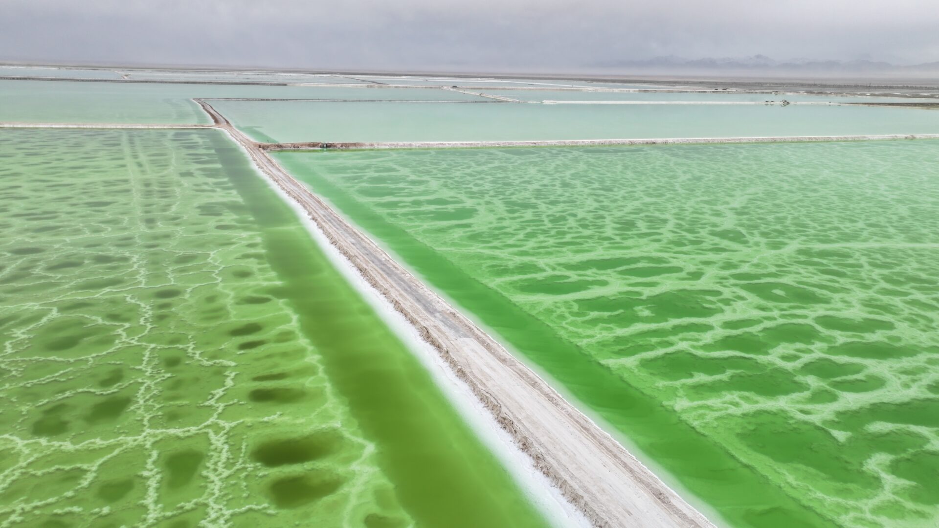 The Qaidam Basin — Salt Flats at 3,000 Metres