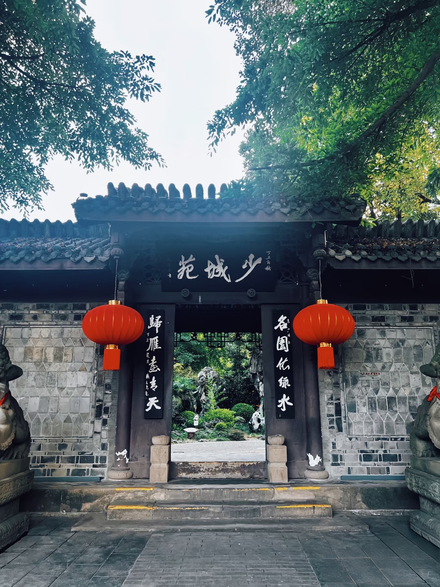 Chengdu People's Park Slow Walk — Tea Houses, Music, and Everyday Local Life
