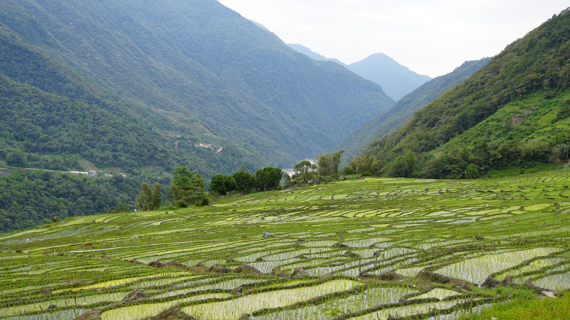 Medog — The Last County in China to Get a Road