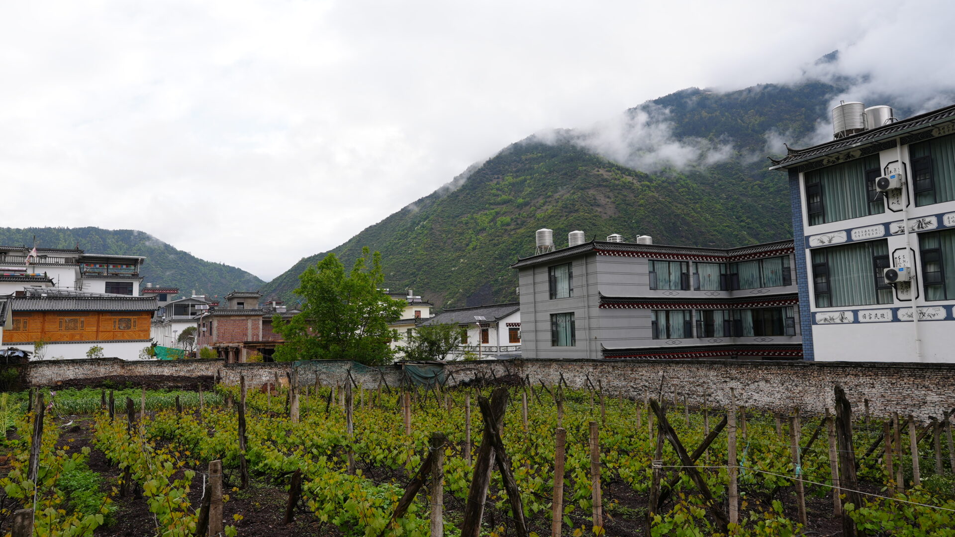 Cizhong — Tibetan Catholics and a French Vineyard