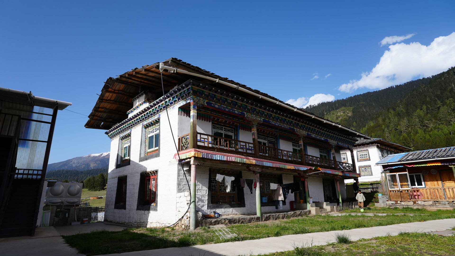 Lulang — The Alpine Meadow Tibet Isn't Supposed to Have