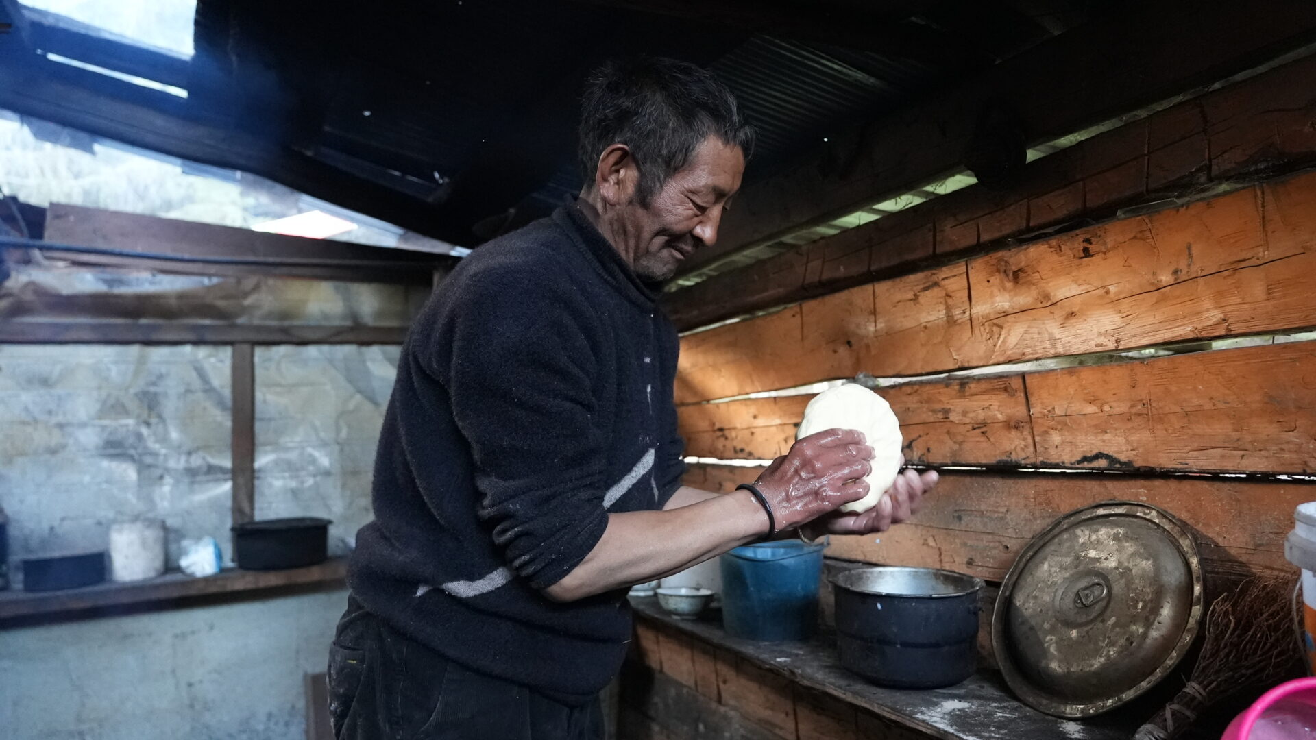 Lulang — The Alpine Meadow Tibet Isn't Supposed to Have