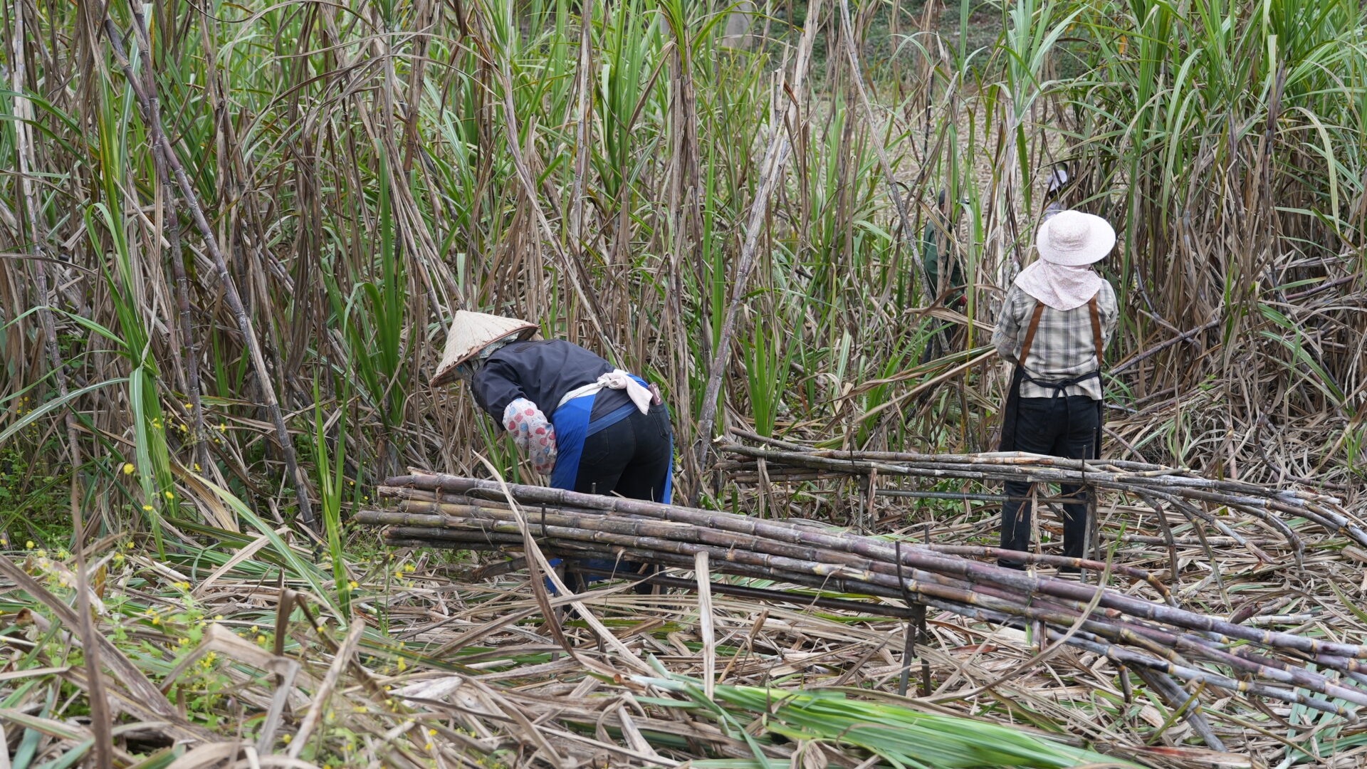 Dongxing — Walking Across a Bridge into Vietnam