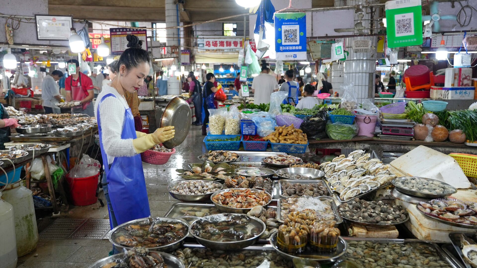 Sanya — China's Resort Coast
