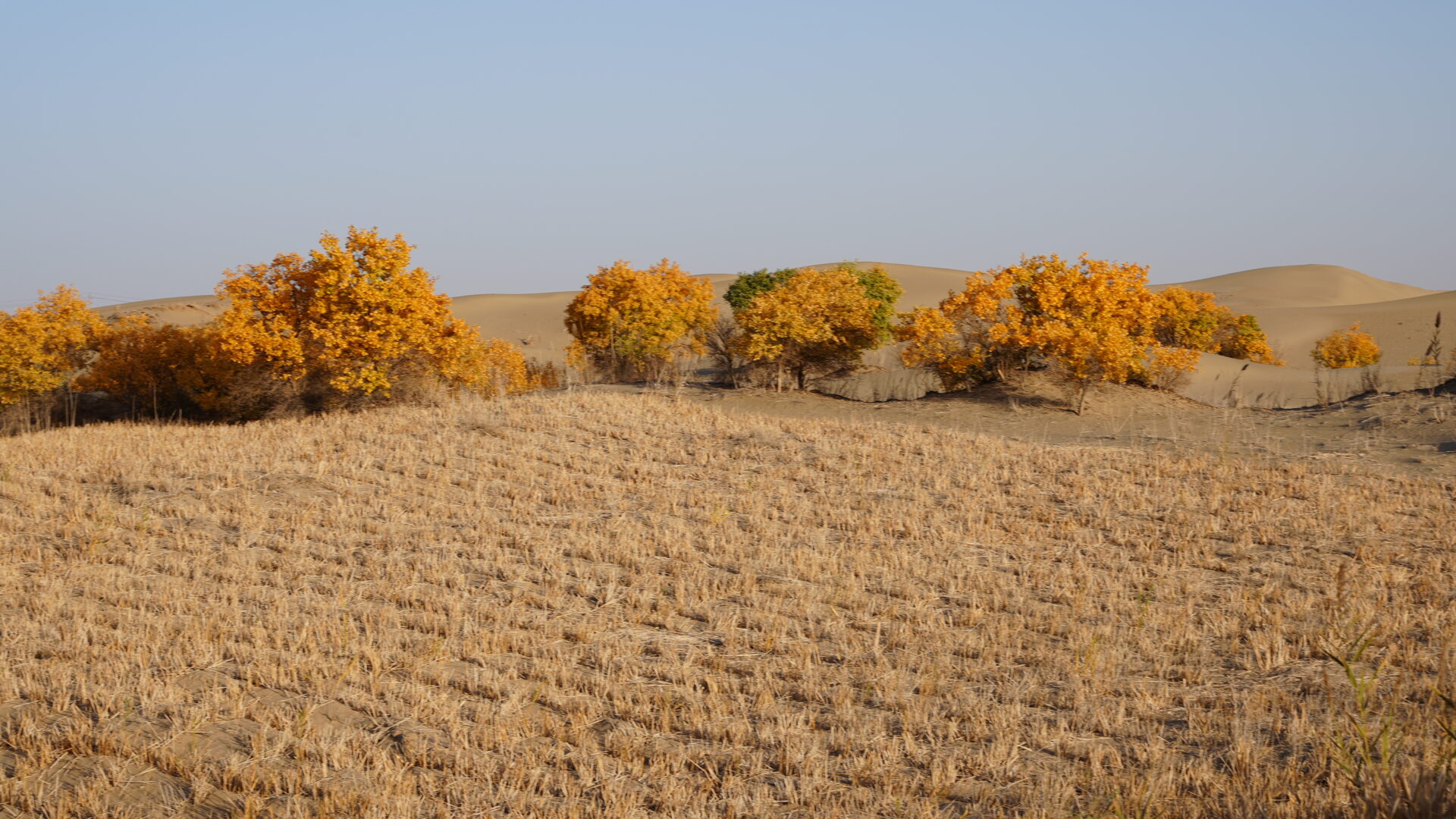 Daliyabuyi — China's Most Isolated Village