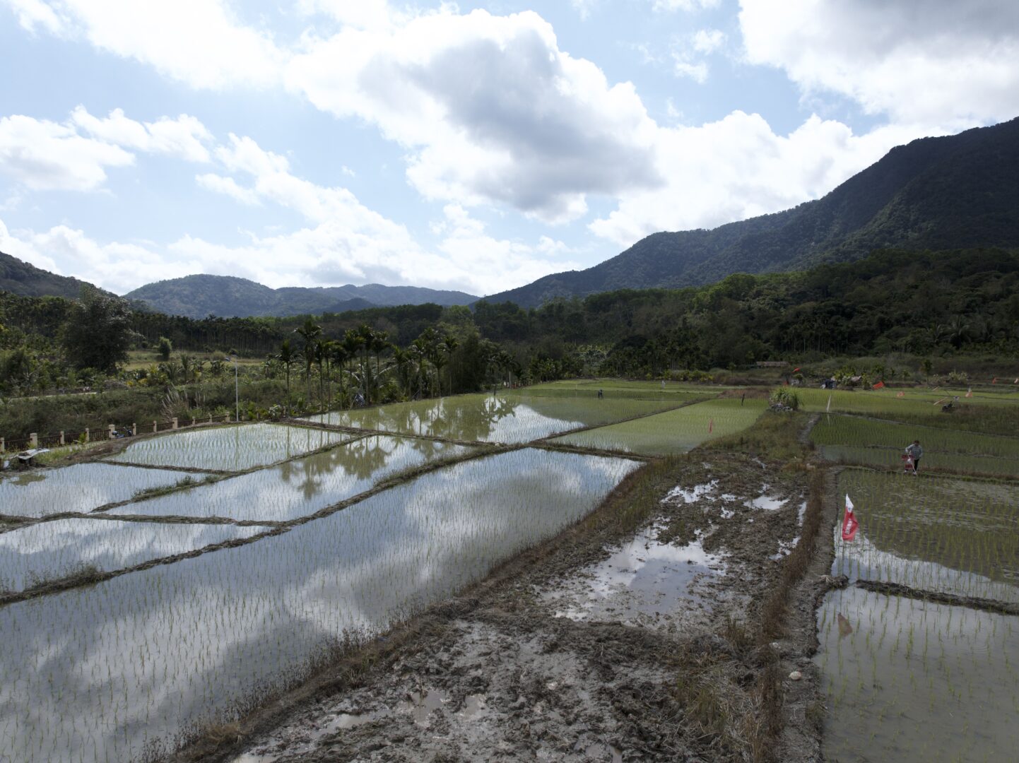 Crossing to Hainan — China's Tropical Island