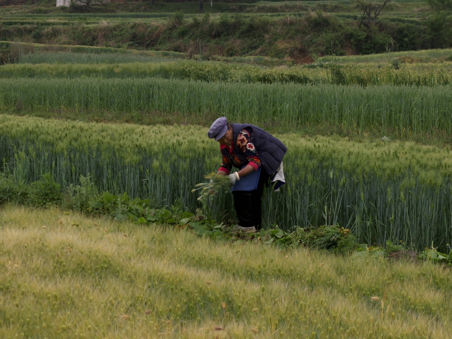 Weixi — Lisu Country Between Two Rivers