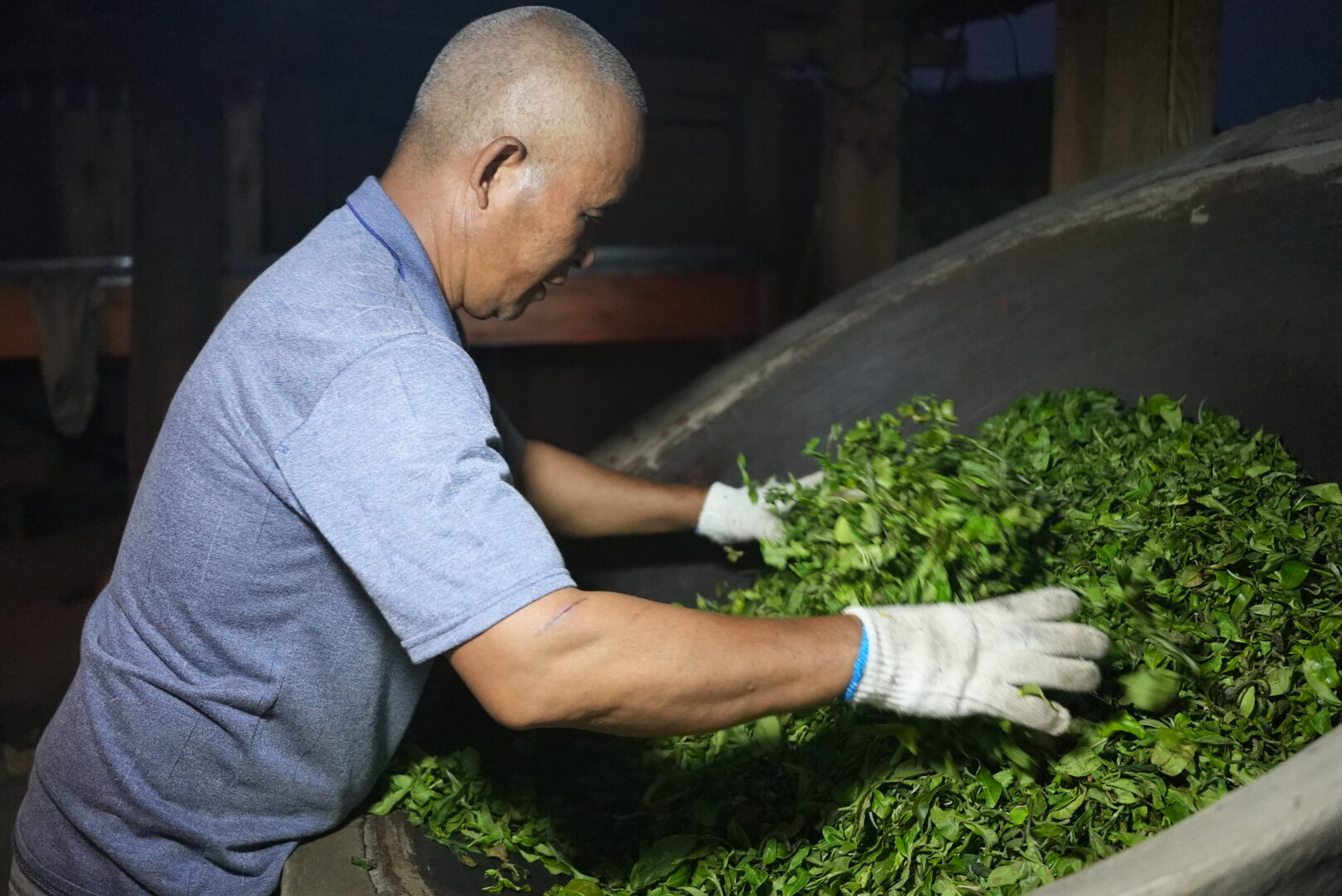 Pu'er — Where the Tea Actually Comes From