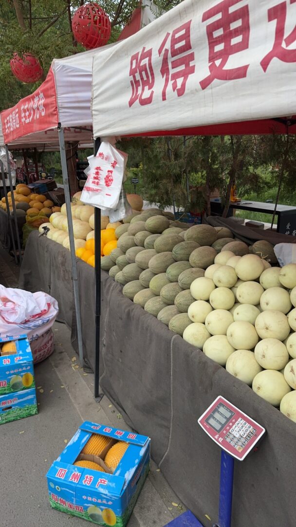Guazhou — Melon County