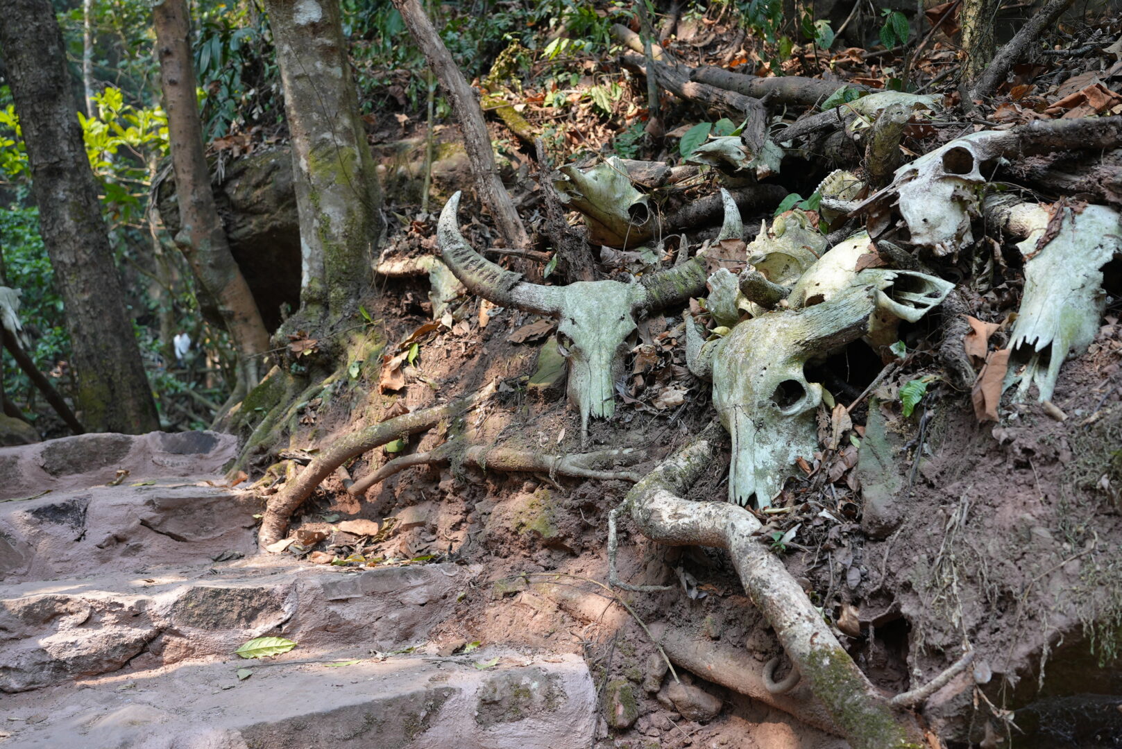 Ximeng — Va Country on the Myanmar Frontier