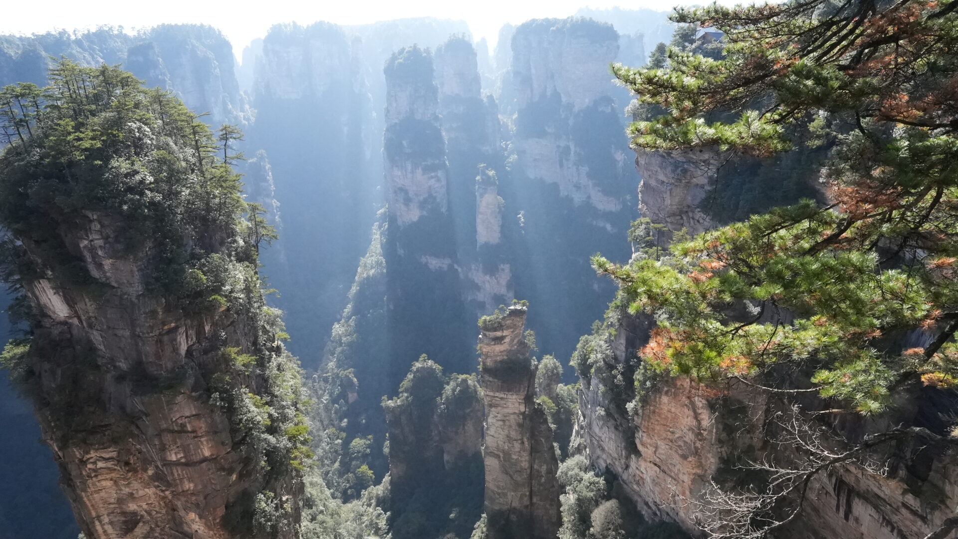 Zhangjiajie — The Pillars That Became Pandora