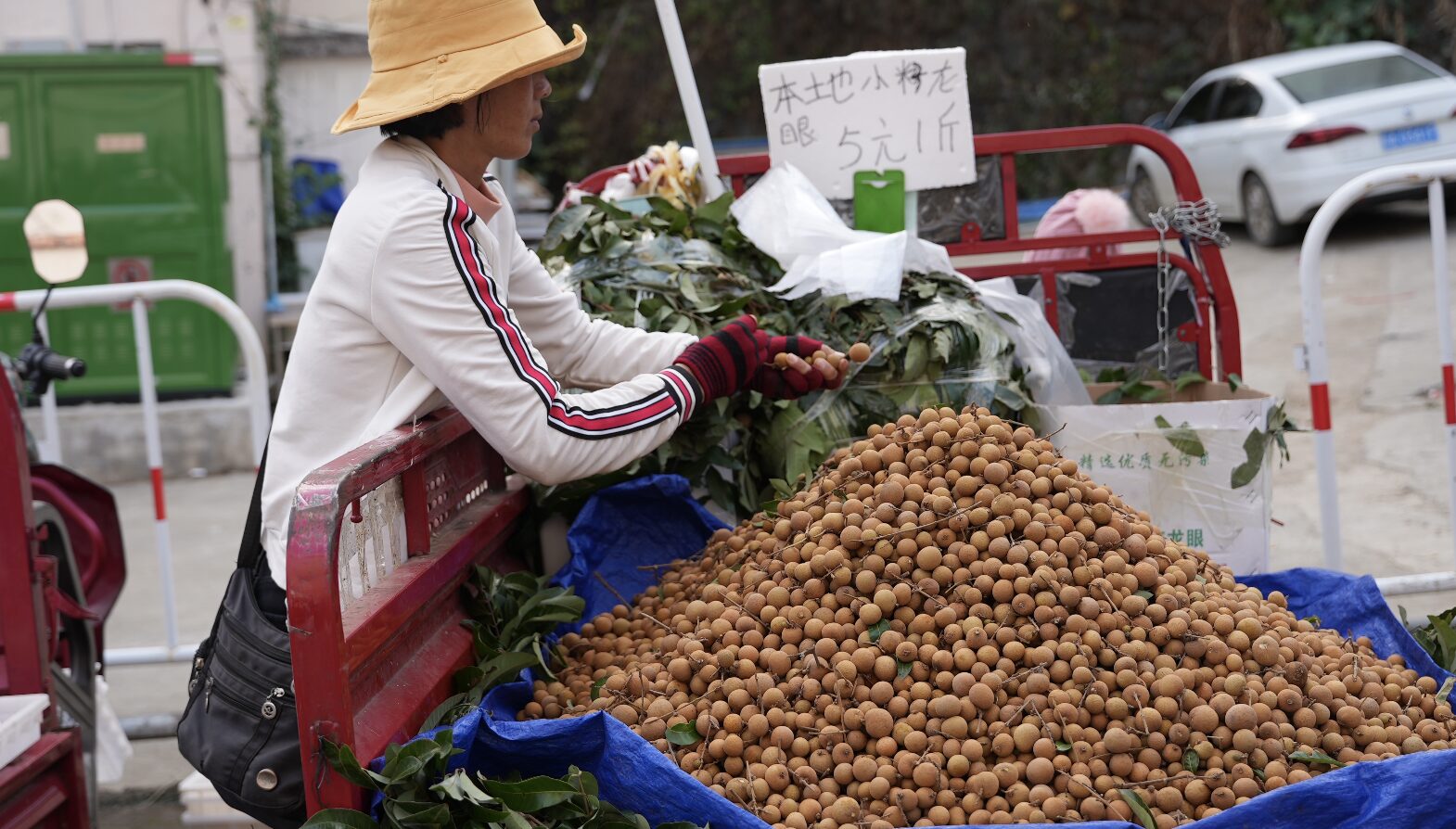 Village Life in Hainan