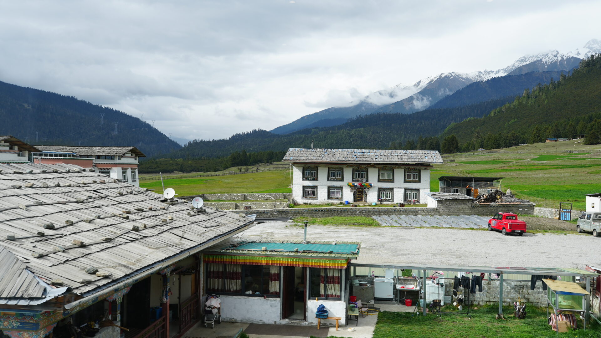 Lulang — The Alpine Meadow Tibet Isn't Supposed to Have