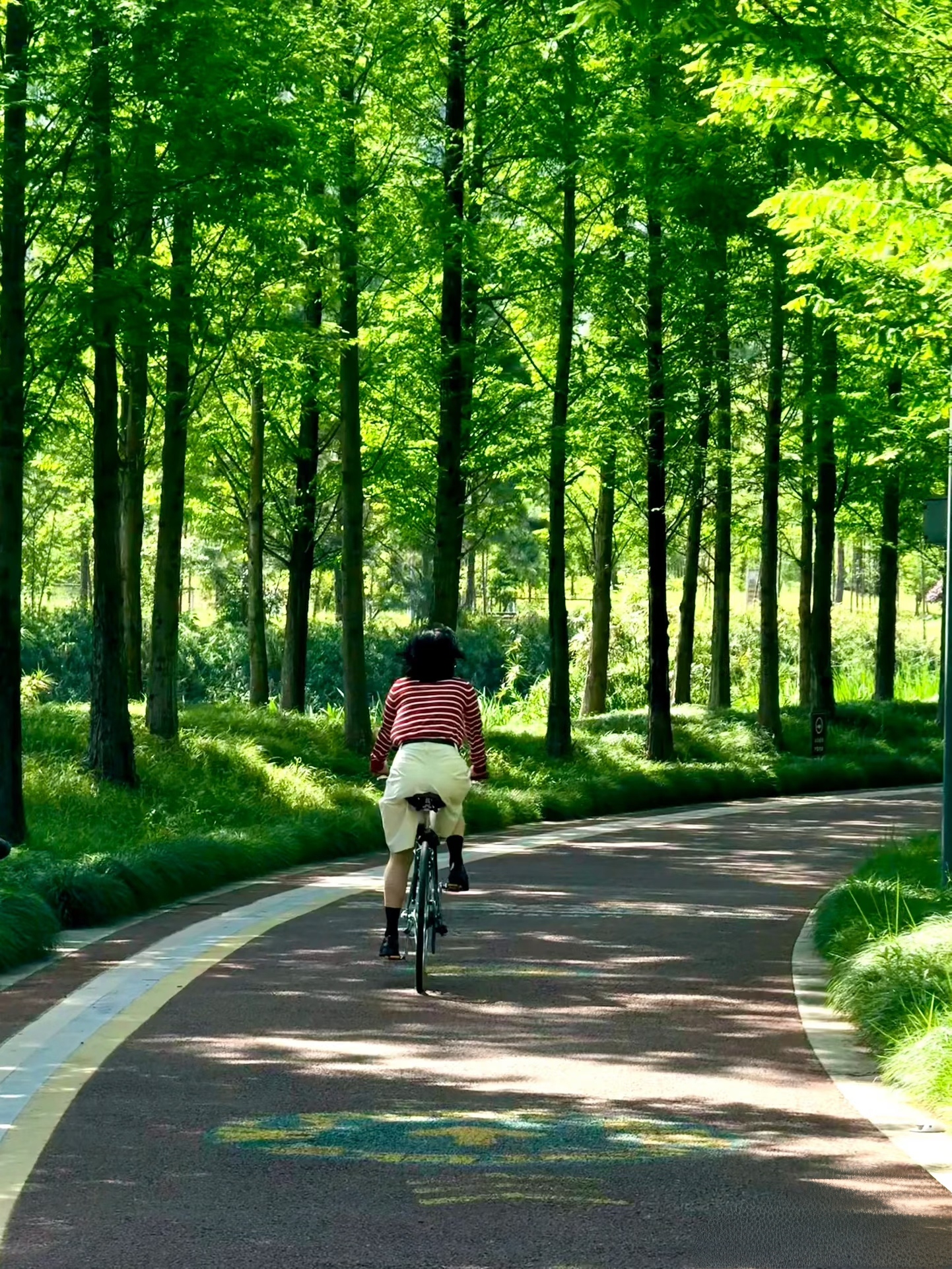 Riding Chengdu's Greenways — A City Built for Cycling