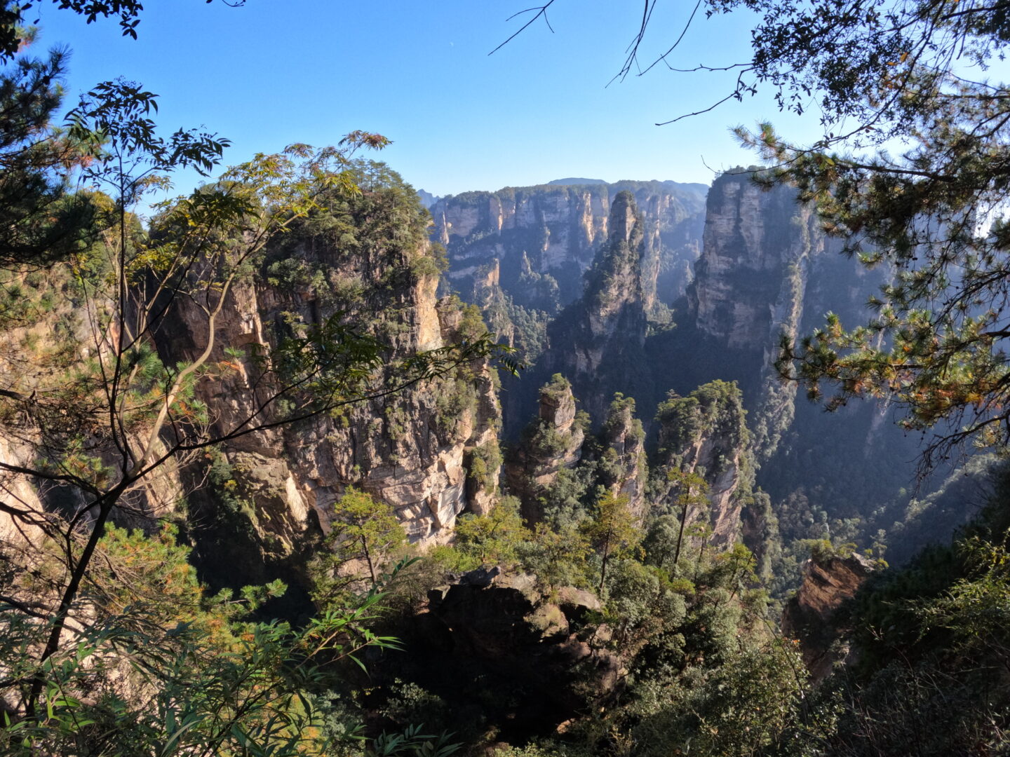 Zhangjiajie — The Pillars That Became Pandora