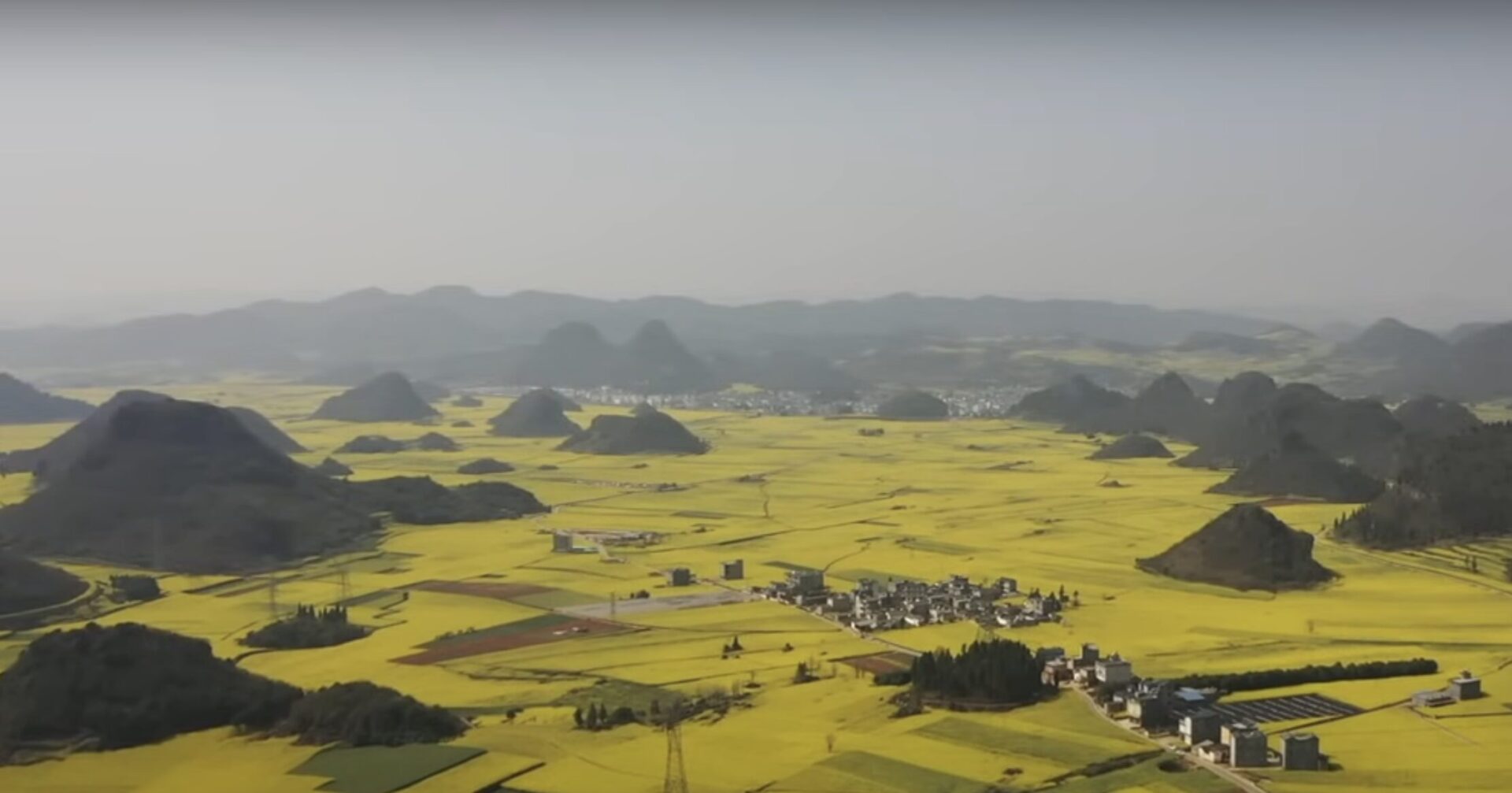 Luoping — Karst Cones in a Sea of Yellow