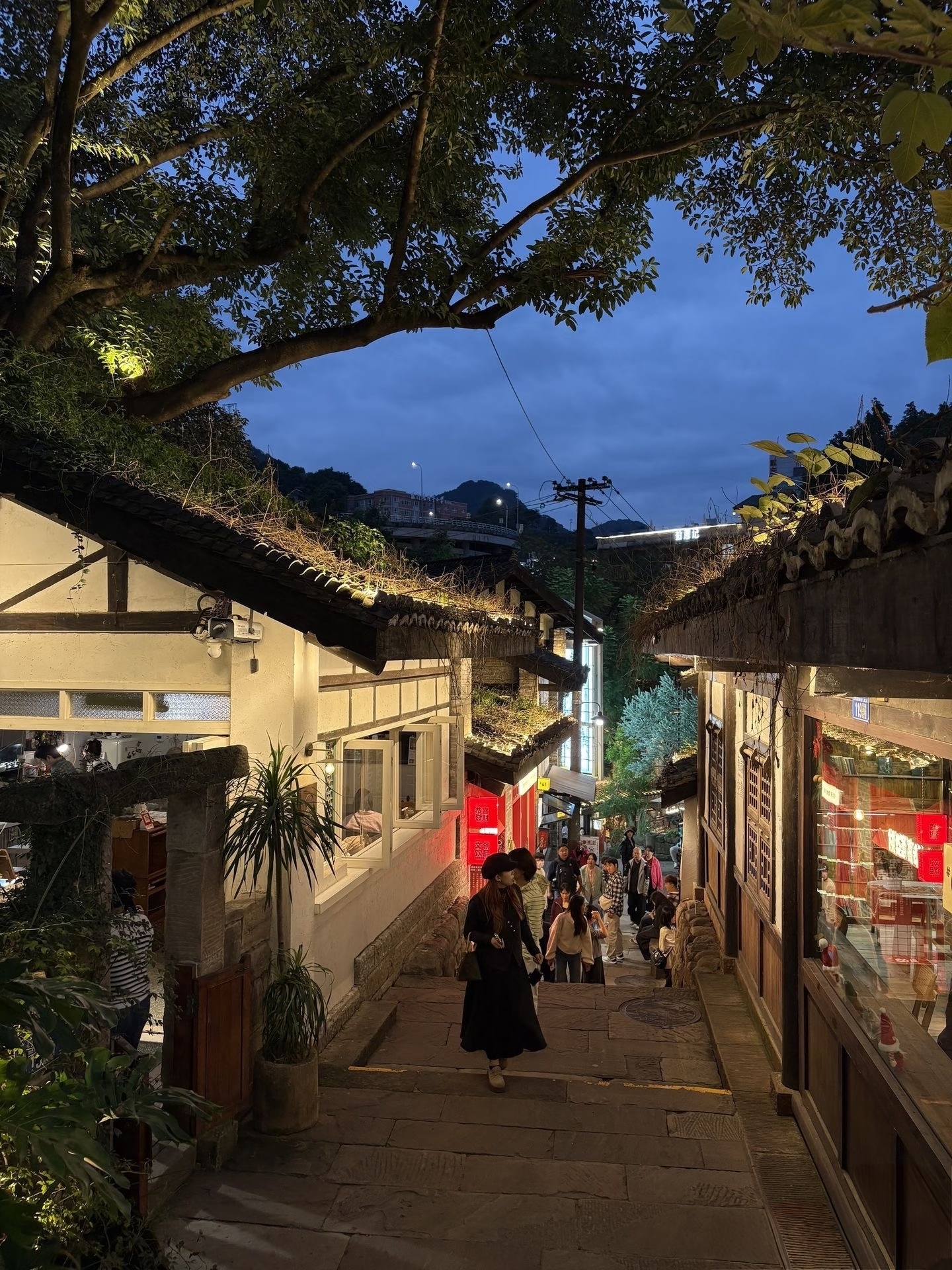 A Night Walk Through Chongqing's Hidden Hills and Neon Streets