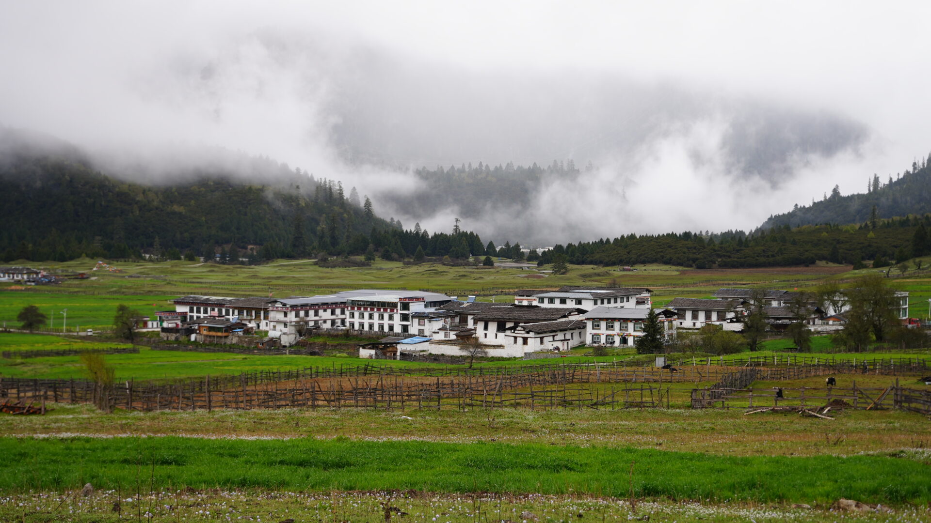 Lulang — The Alpine Meadow Tibet Isn't Supposed to Have