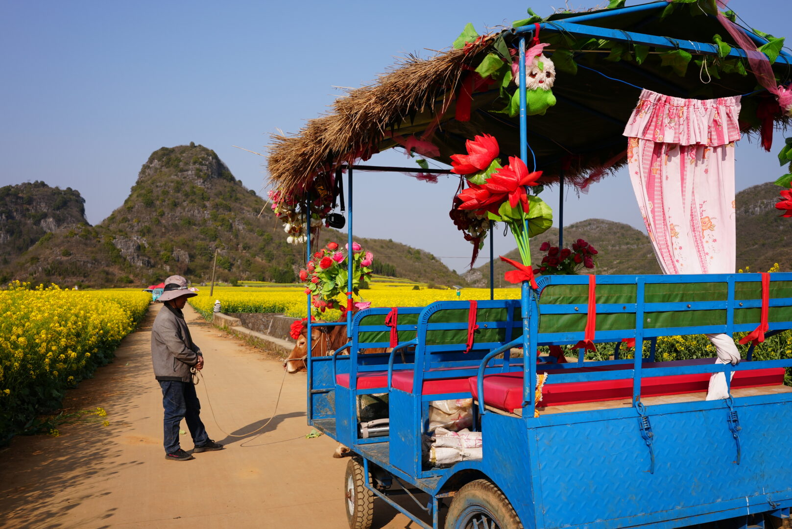 Luoping — Karst Cones in a Sea of Yellow