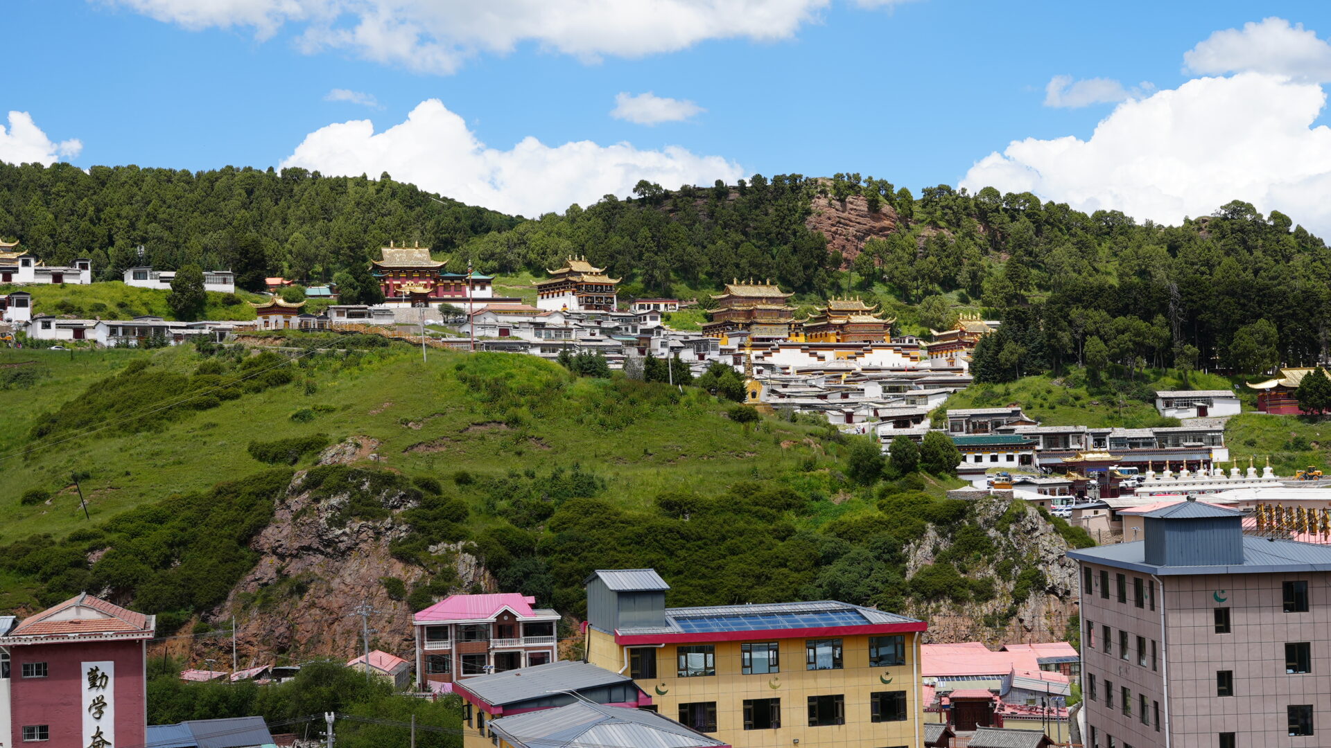 Ngawa — Grassland, Wetland and the Yellow River's First Bend