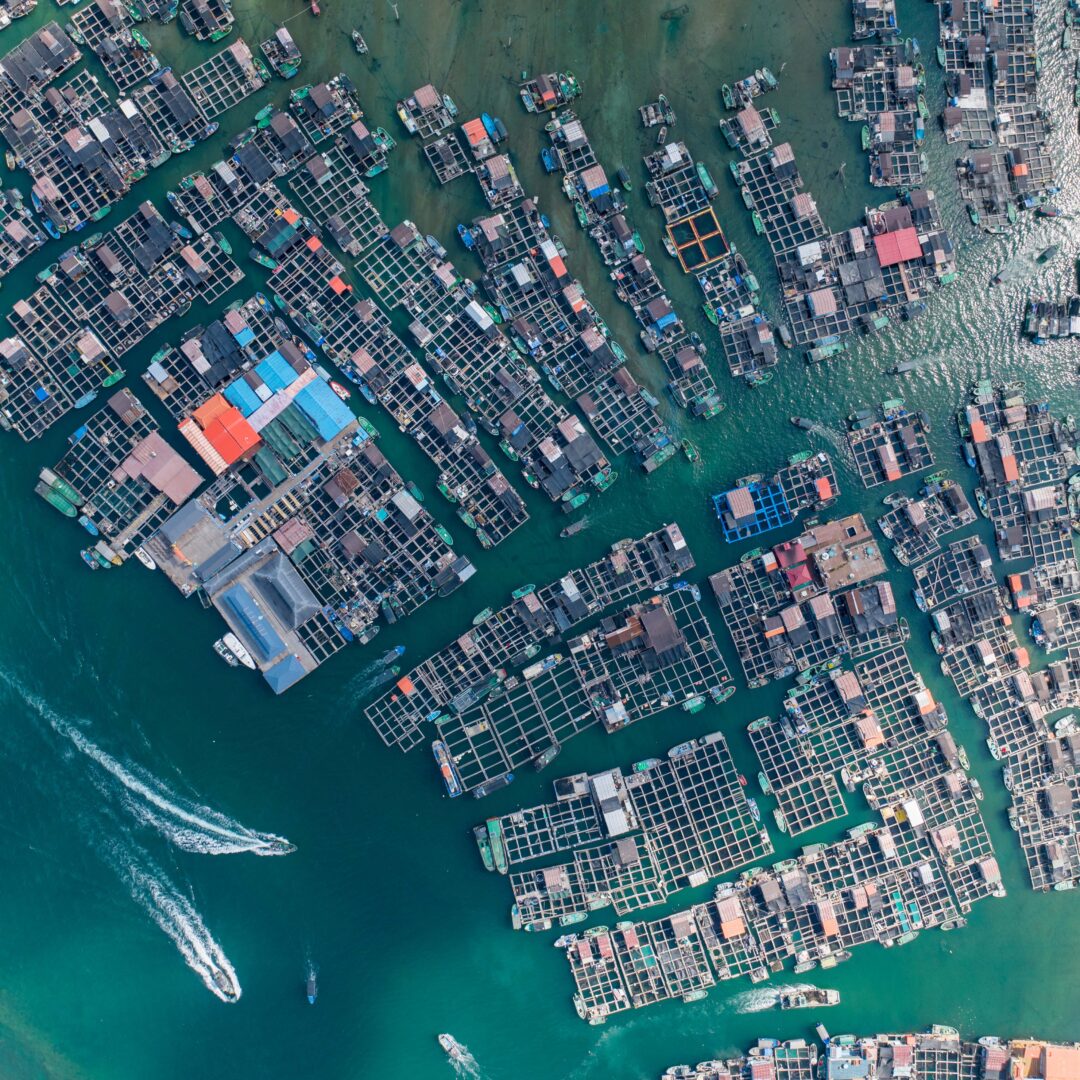 Lingshui's Floating Village