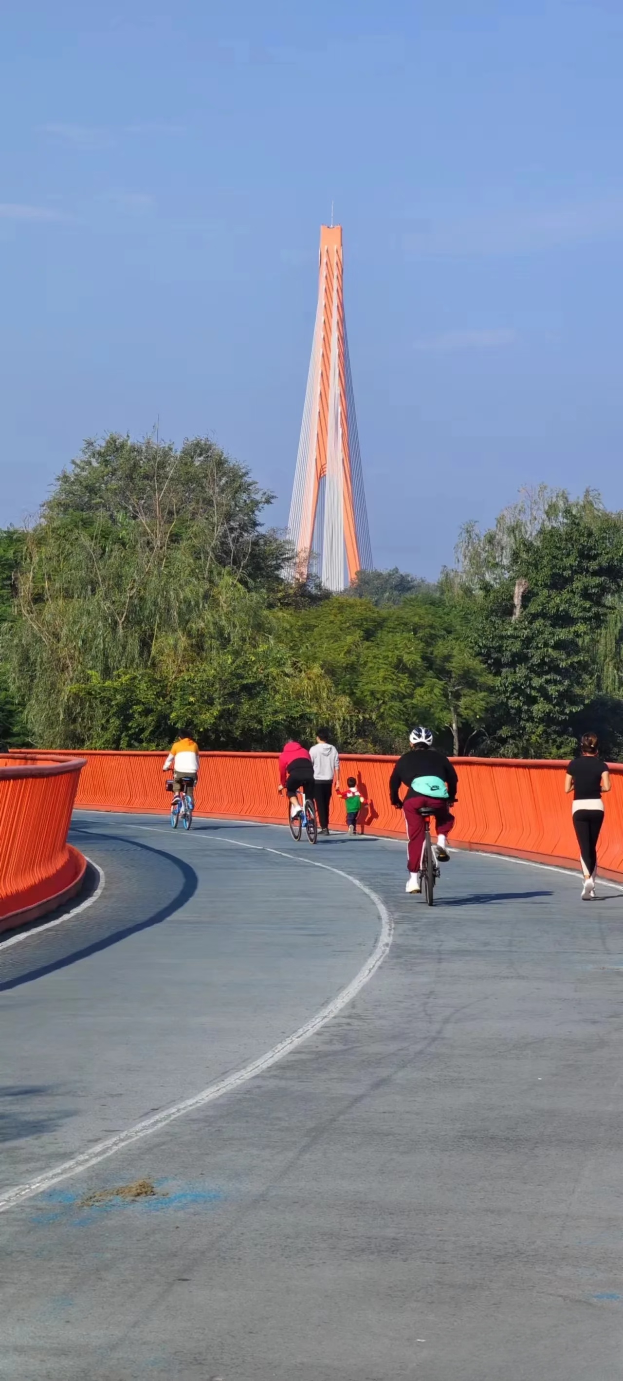 Riding Chengdu's Greenways — A City Built for Cycling