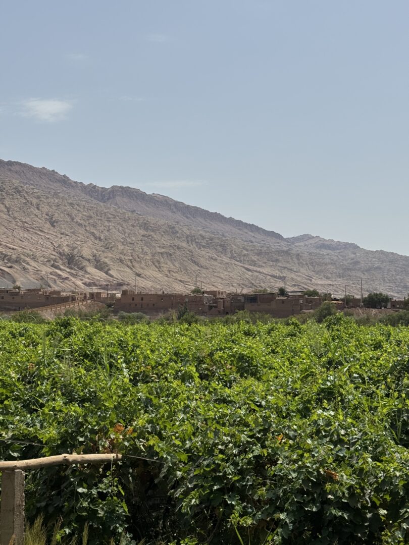 Tuyugou — A Uyghur Village in a Red Gorge