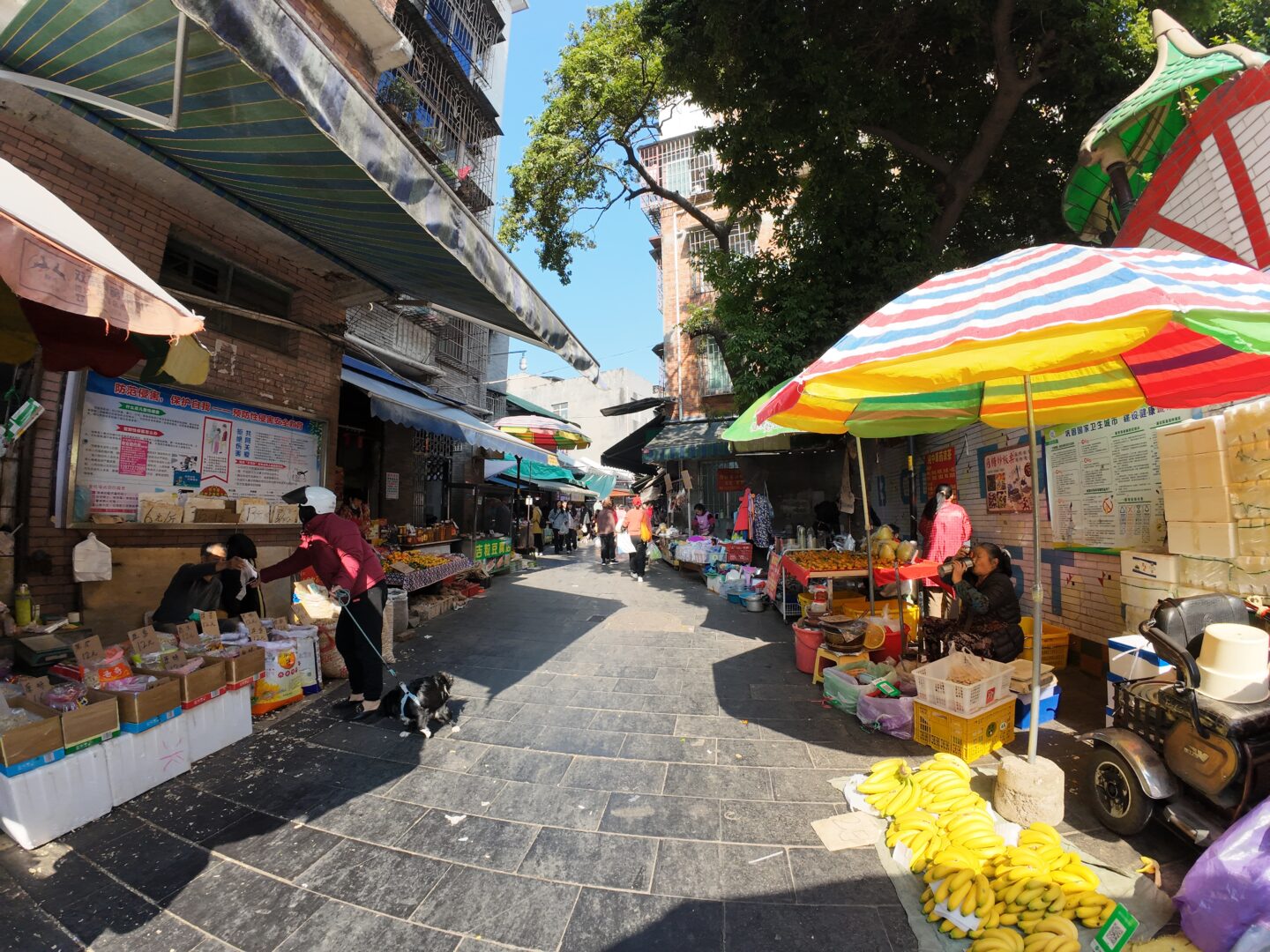 Liuzhou — The City That Exported Snail Noodles to the Nation