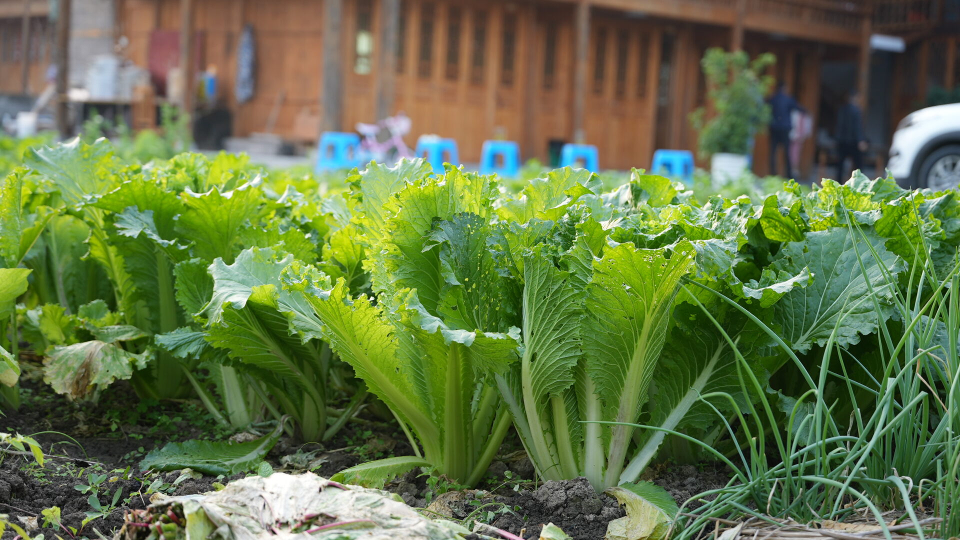 Xiangxi — The Real Rural China