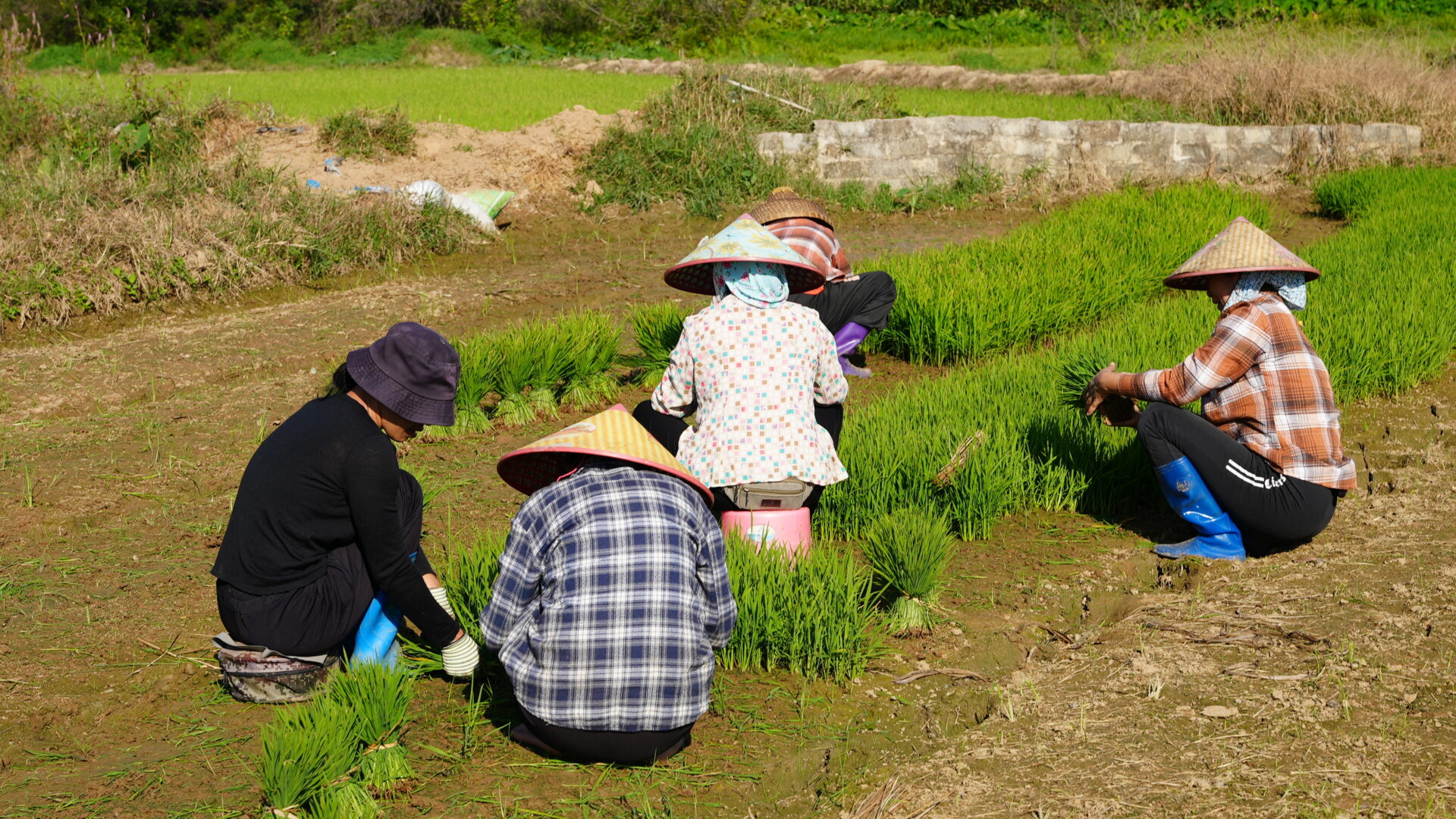 Village Life in Hainan