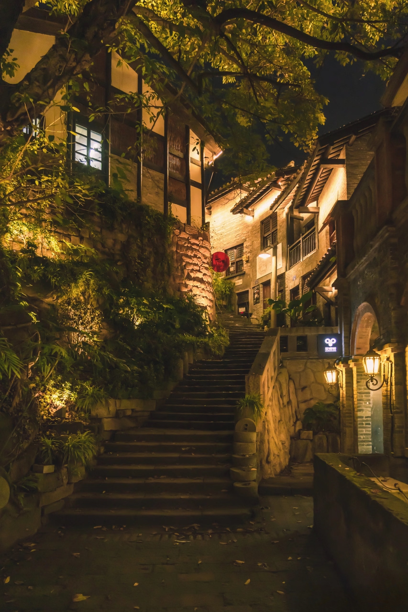 A Night Walk Through Chongqing's Hidden Hills and Neon Streets