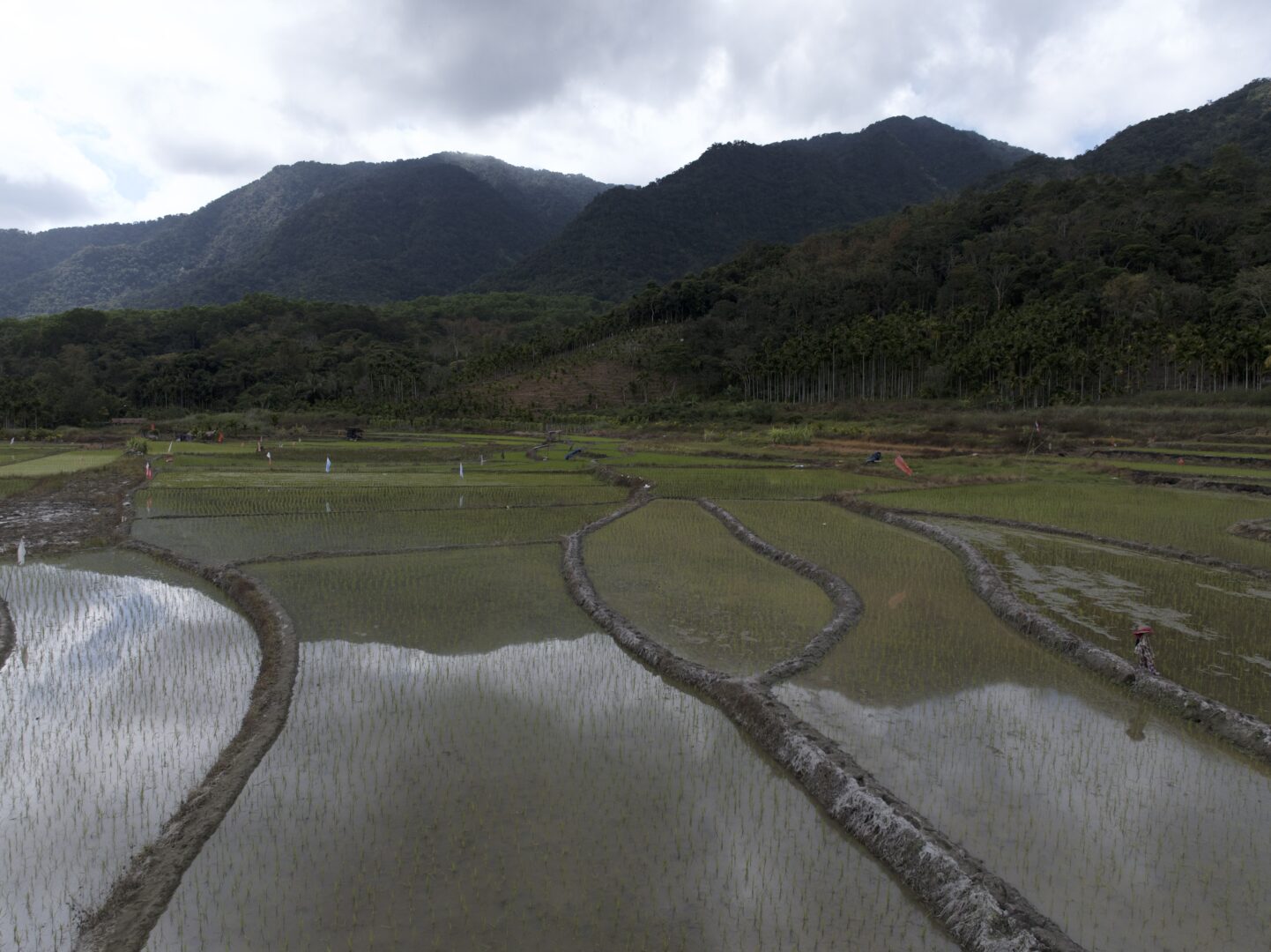 Crossing to Hainan — China's Tropical Island