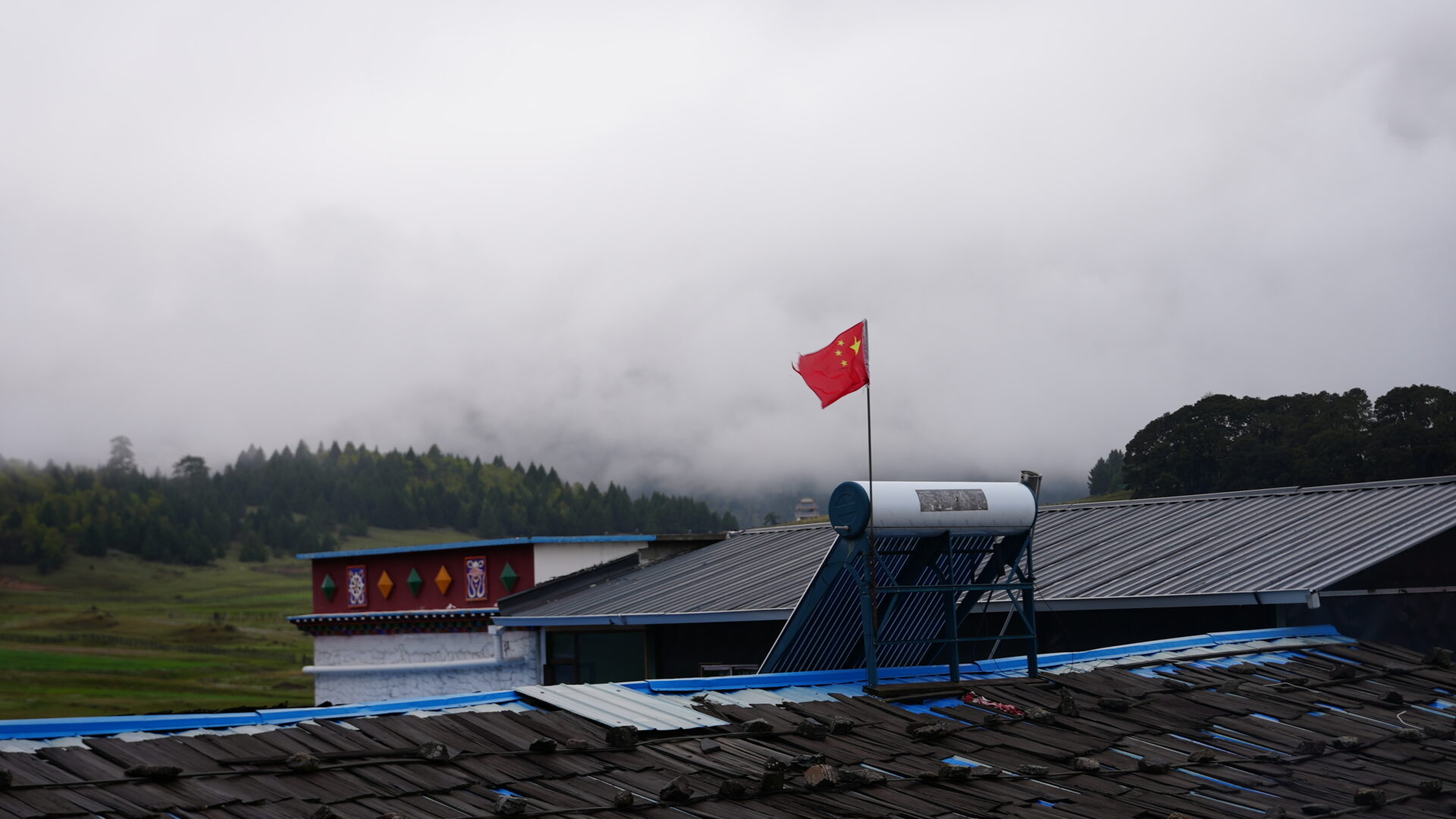 Lulang — The Alpine Meadow Tibet Isn't Supposed to Have