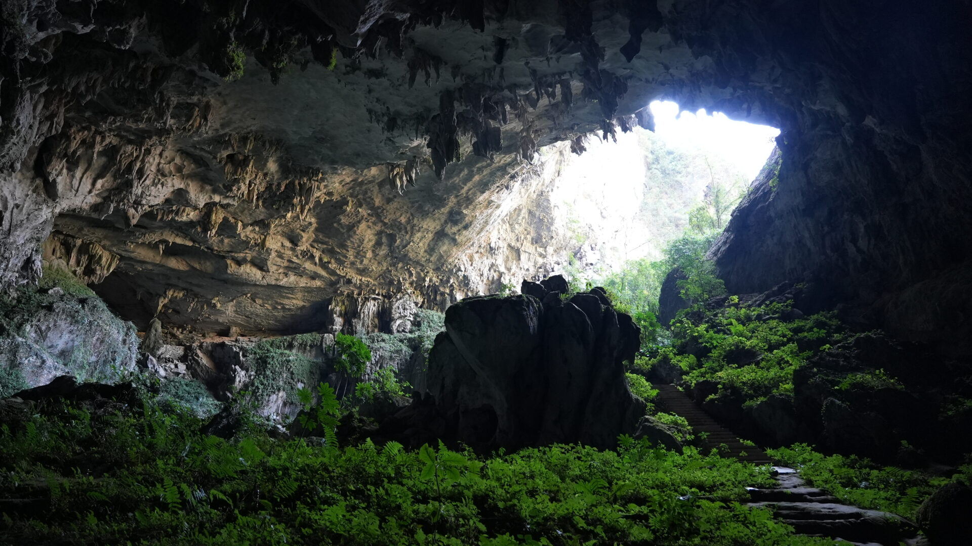 The Giant Sinkholes of Leye — Forests at the Bottom of Holes