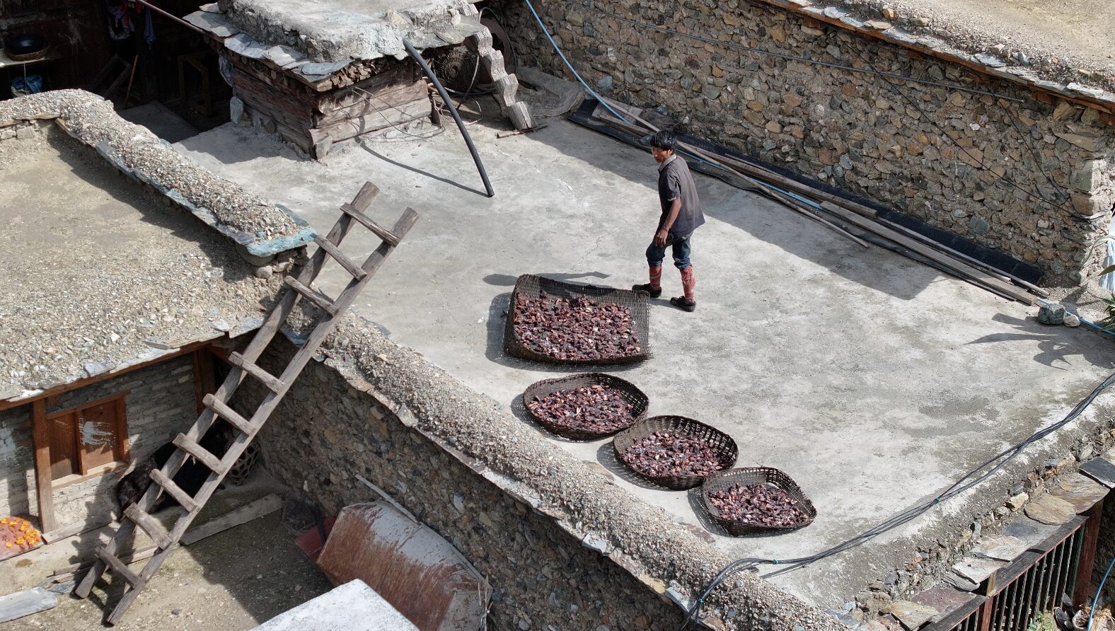 Eya — The Last Village With a Different Idea of Marriage