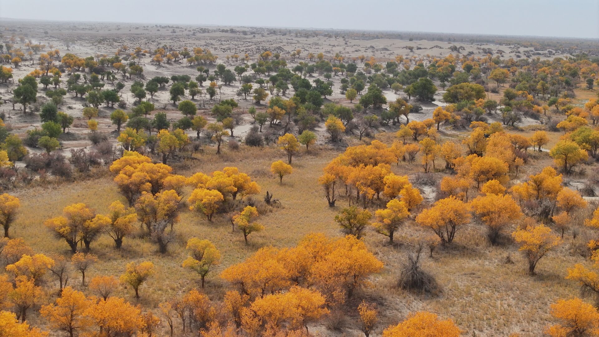 Daliyabuyi — China's Most Isolated Village